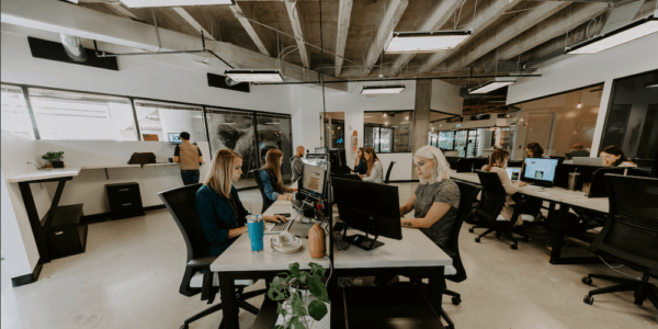 business organization tips