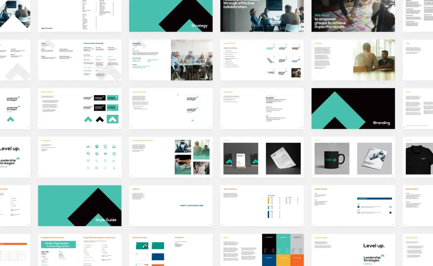 Leadership Strategies Brand Guide