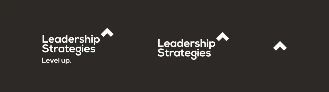 Leadership Strategies Logo Options