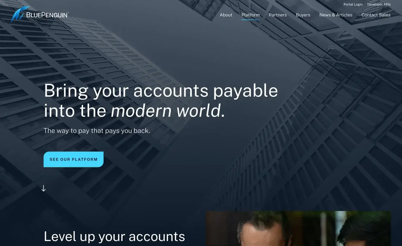 BluePenguin Website After