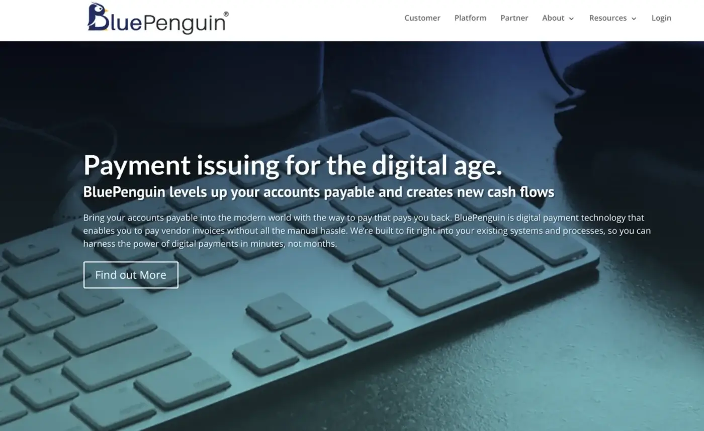 BluePenguin Website Before