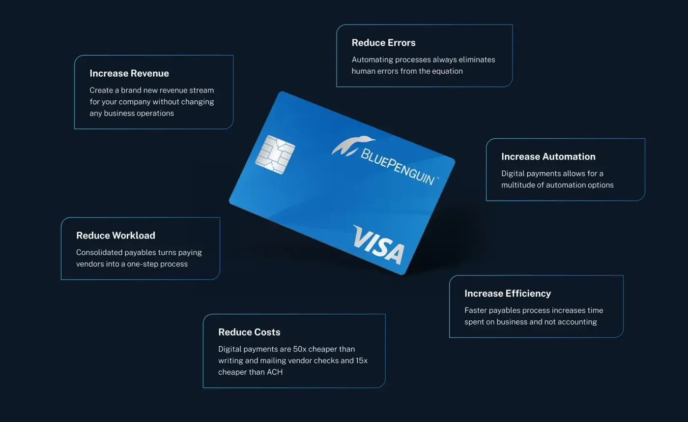 BluePenguin Gallery Image