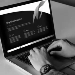 B2B Marketing Agency Blue Penguin Work